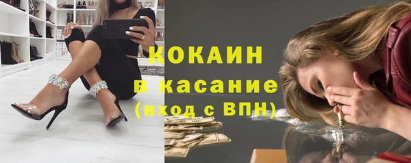 дживик Пересвет