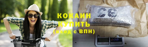 дживик Пересвет