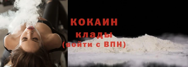 дживик Пересвет