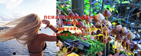 мяу мяу мука Пестово