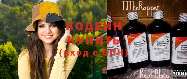 дживик Пересвет