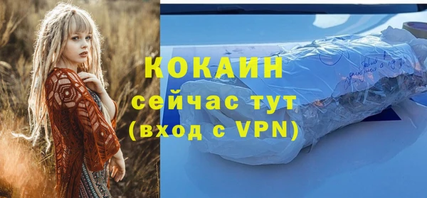 мяу мяу мука Пестово