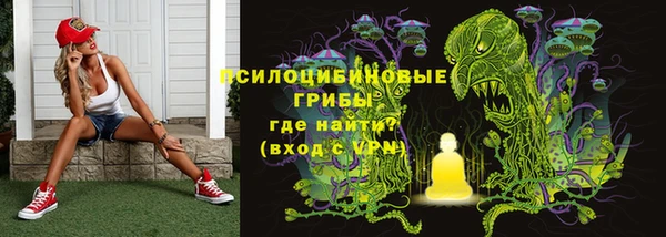 дживик Пересвет