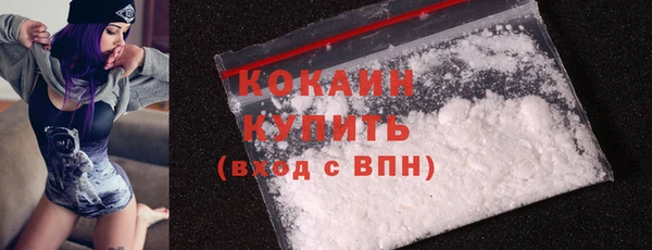 дживик Пересвет