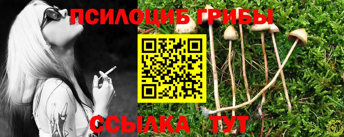 Псилоцибиновые грибы Magic Shrooms Сыктывкар